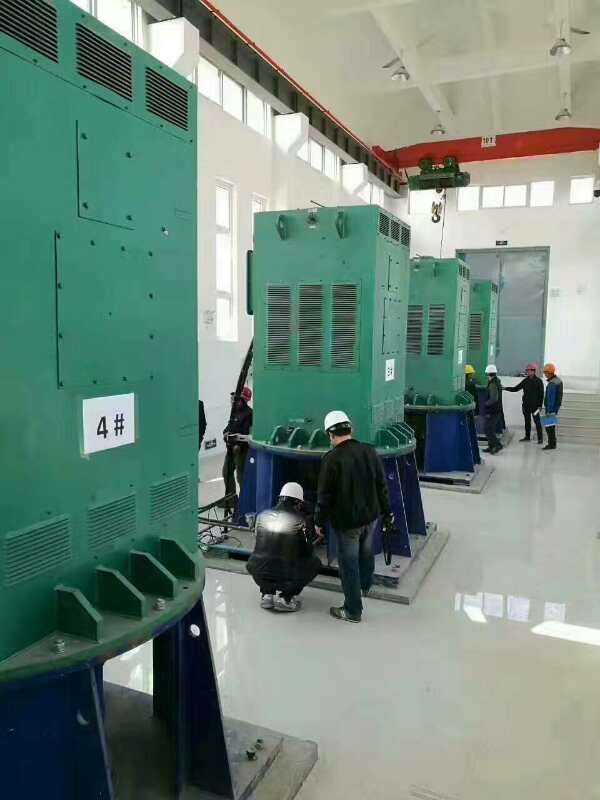 拉孜某污水处理厂使用我厂的立式高压电机安装现场