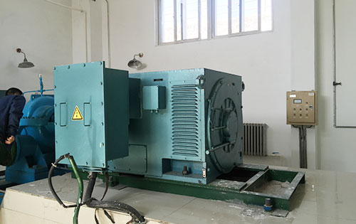 拉孜某水电站工程主水泵使用我公司高压电机