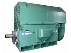 拉孜Y系列6KV高压电机